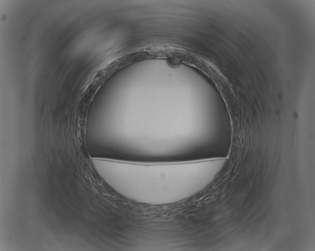 X0000083551016200702090744