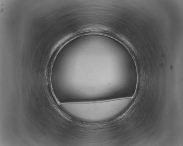 X0000083551026200702090744