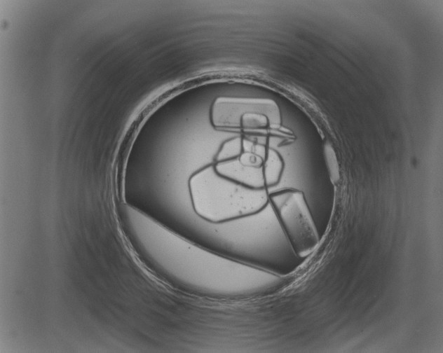 X0000083551030200702090744