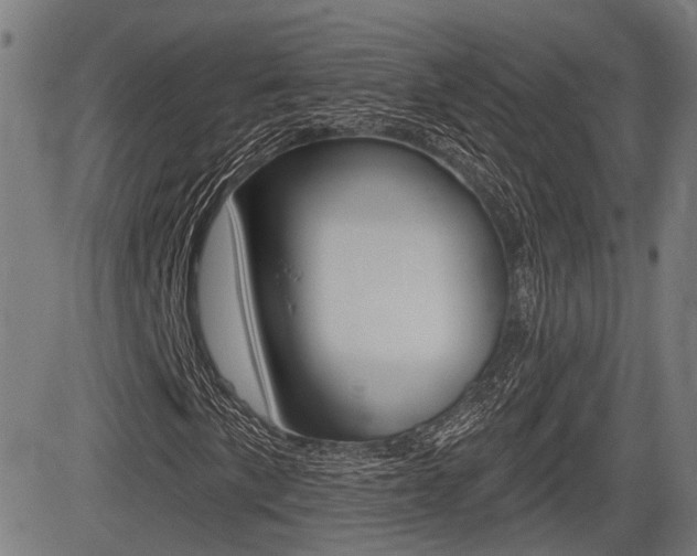 X0000083551057200702090744