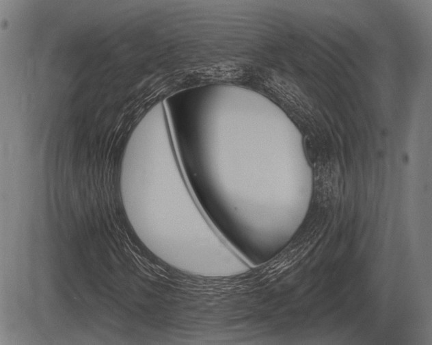 X0000083551058200702090744