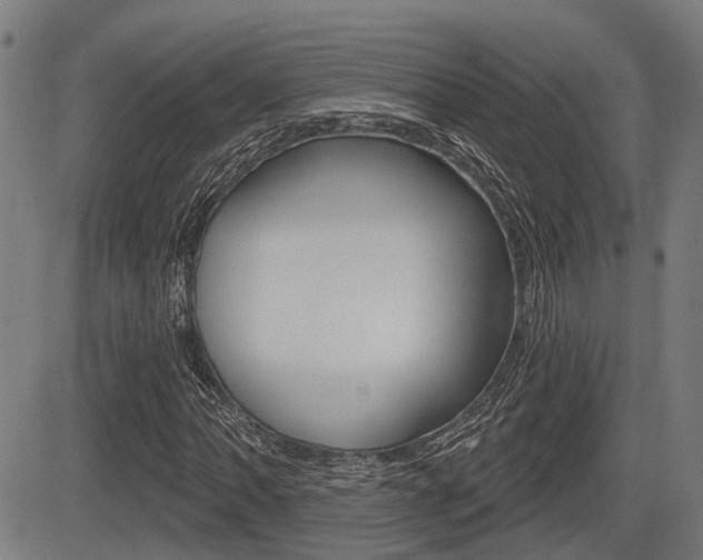 X0000083551062200702090744