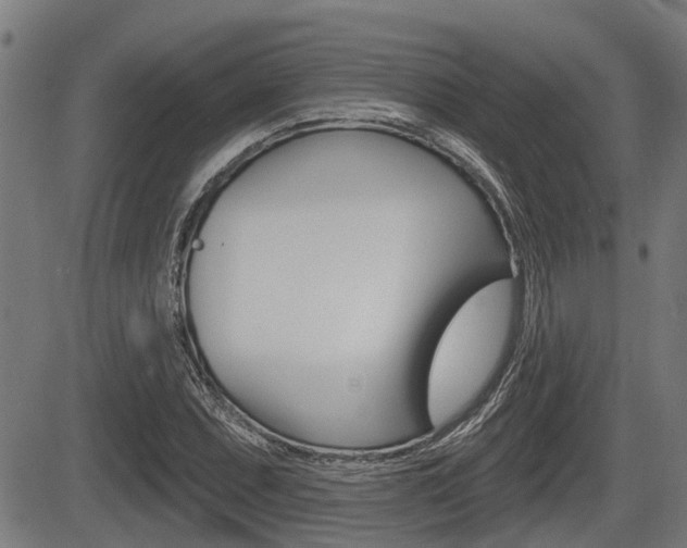 X0000083551071200702090744