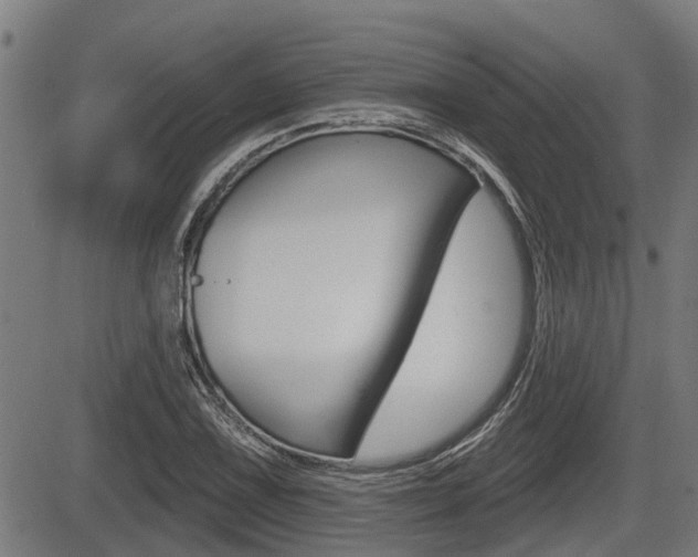 X0000083551075200702090744