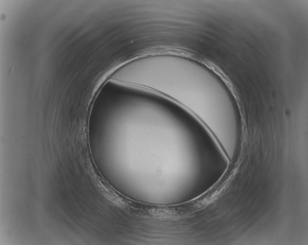 X0000083551089200702090744
