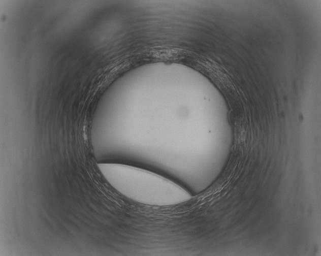 X0000083551106200702090743