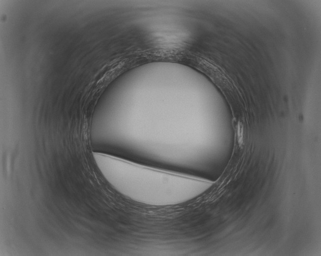 X0000083551107200702090743