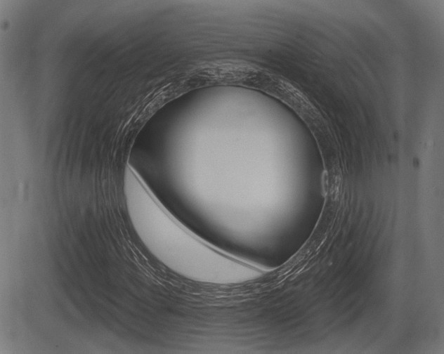 X0000083551108200702090743