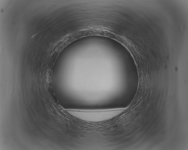 X0000083551110200702090743