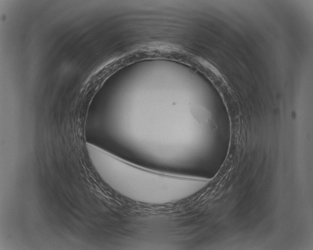 X0000083551112200702090743