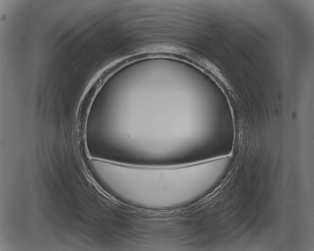 X0000083551116200702090743