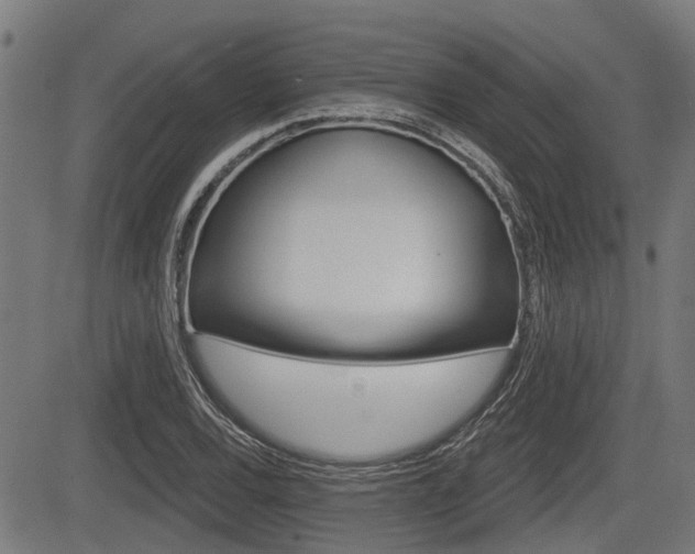 X0000083551120200702090743