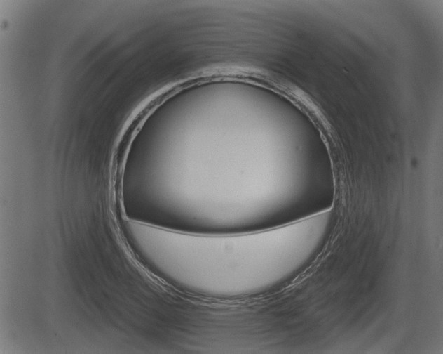 X0000083551124200702090743