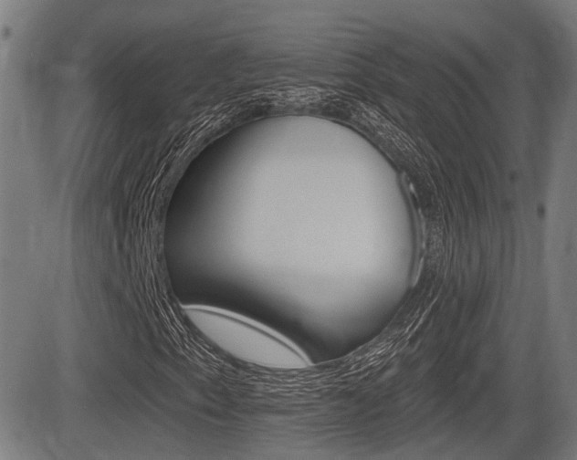 X0000083551153200702090742
