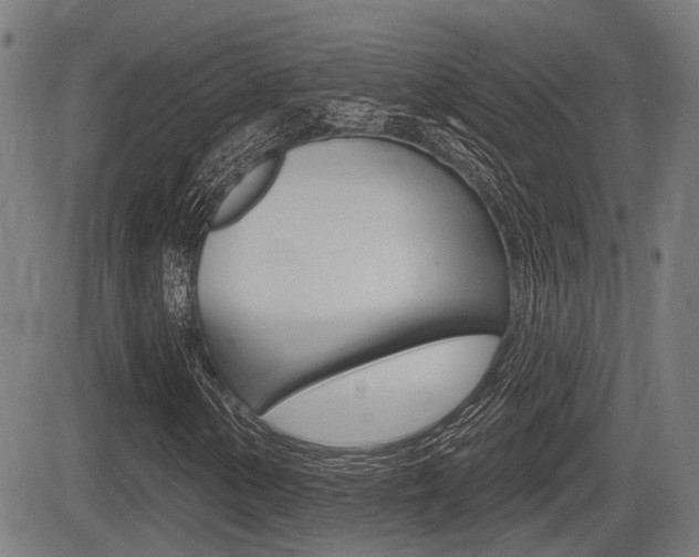 X0000083551154200702090742