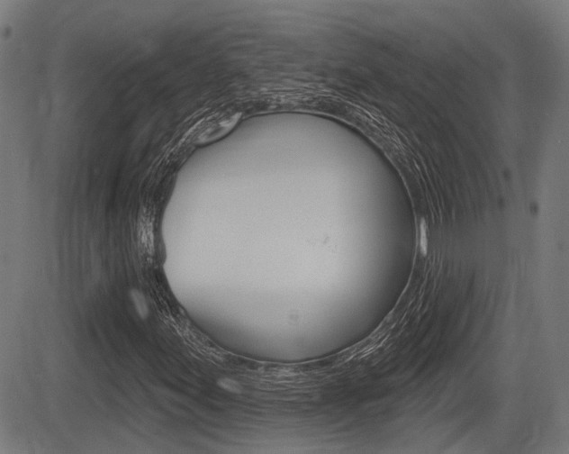 X0000083551155200702090742