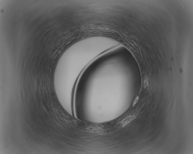 X0000083551156200702090742
