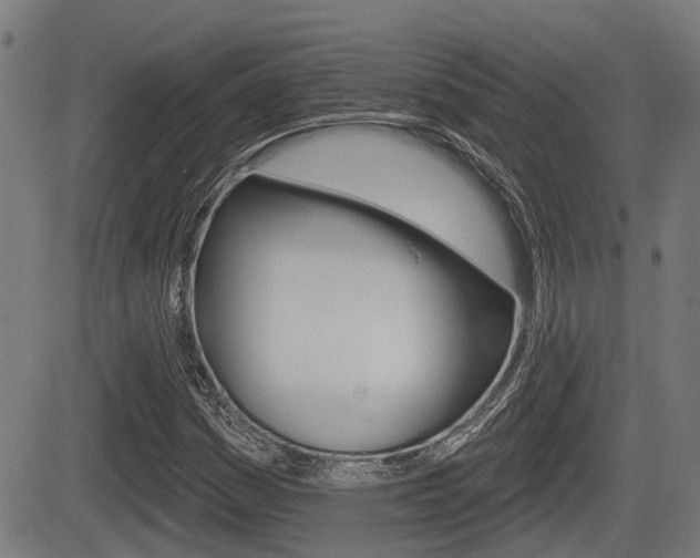 X0000083551161200702090742