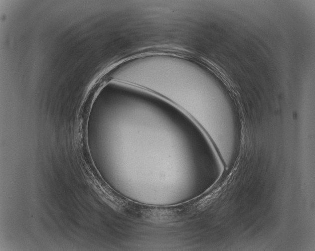 X0000083551164200702090742