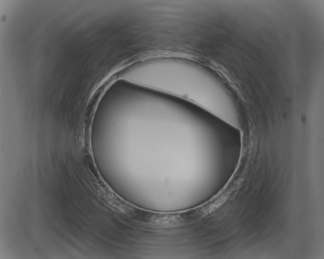 X0000083551165200702090742