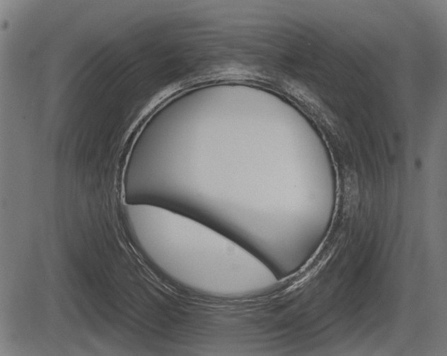 X0000083551170200702090742