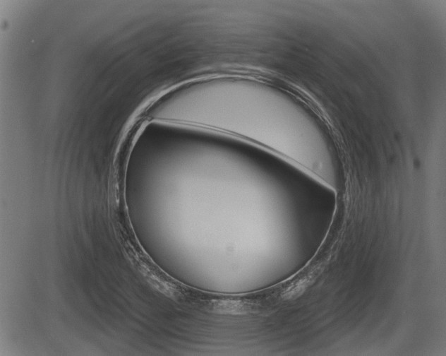 X0000083551172200702090742
