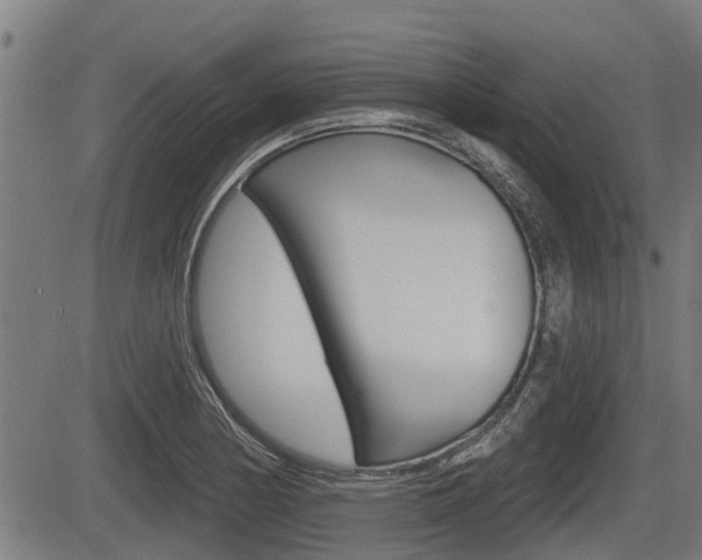 X0000083551178200702090742