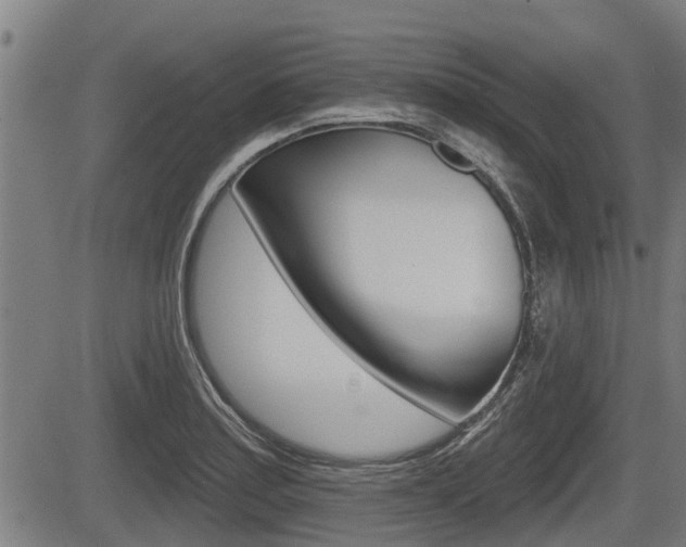X0000083551179200702090742
