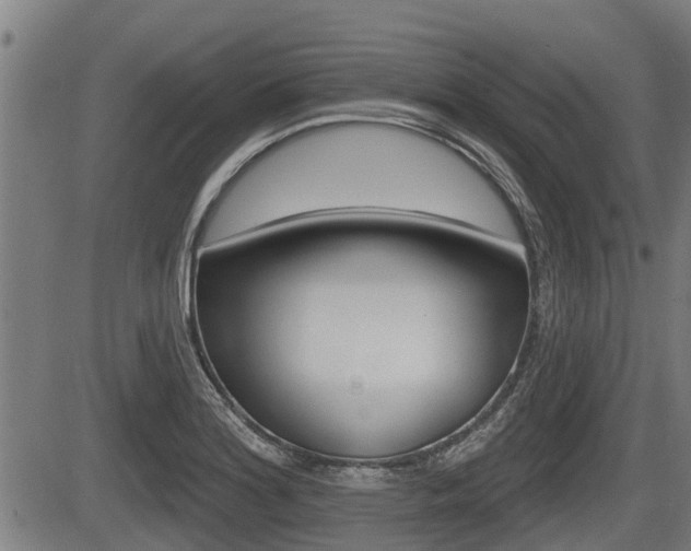 X0000083551180200702090742
