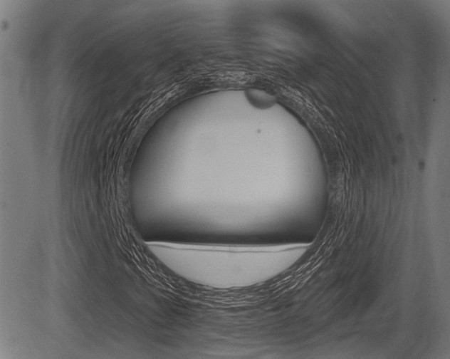 X0000083551201200702090741
