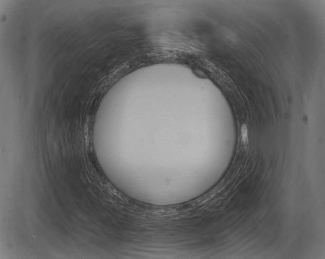 X0000083551203200702090741