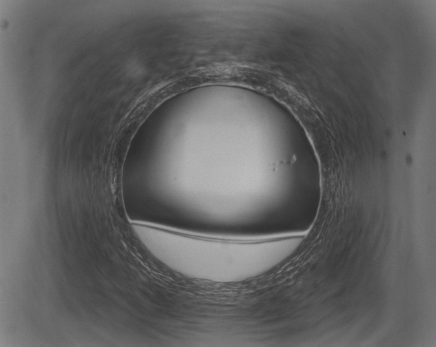 X0000083551206200702090741
