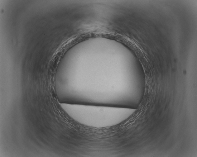X0000083551207200702090741