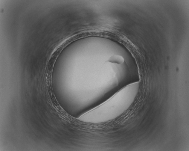 X0000083551208200702090741