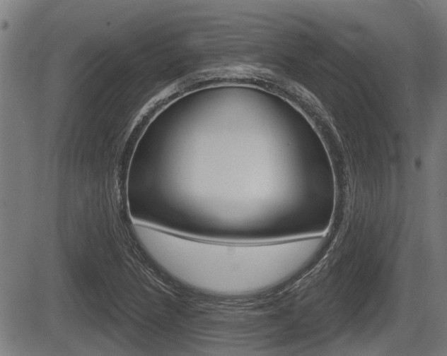 X0000083551218200702090741