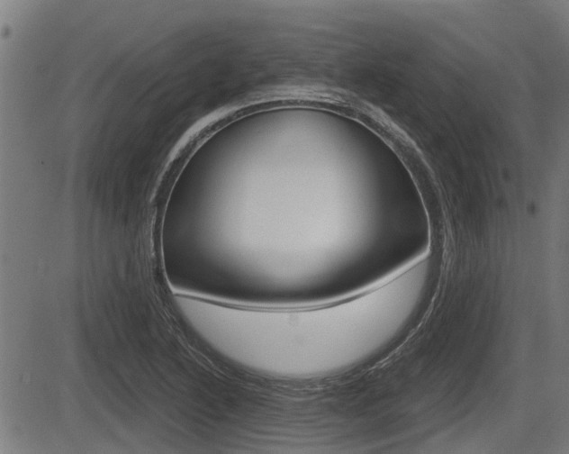 X0000083551222200702090741