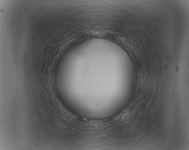X0000083551249200702090741