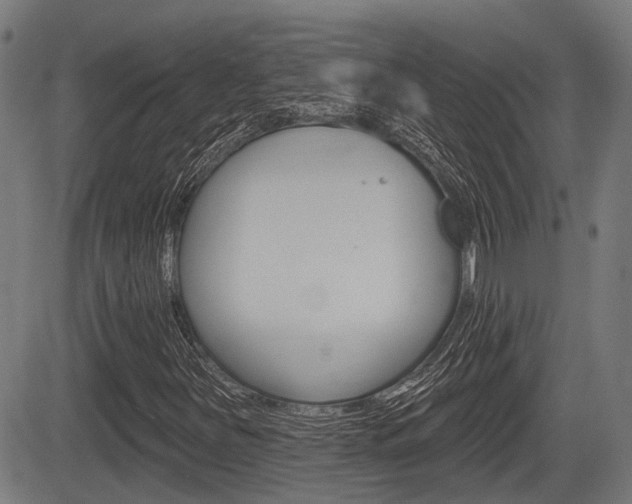 X0000083551251200702090741