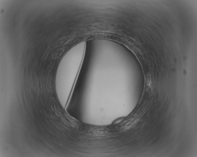 X0000083551252200702090741