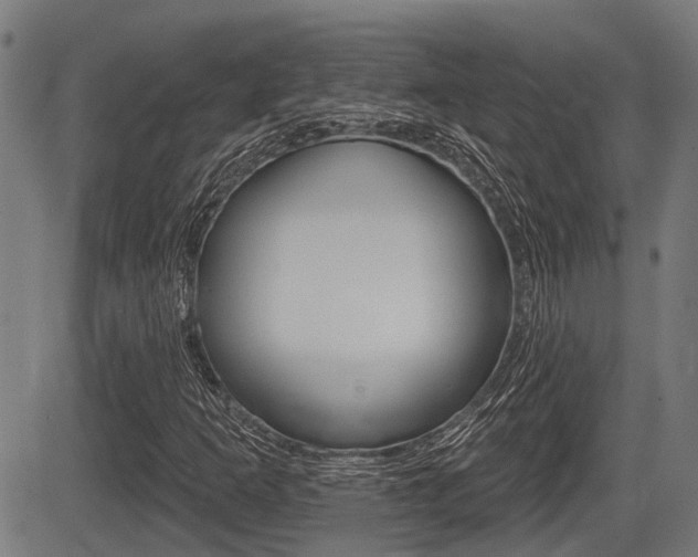 X0000083551253200702090741