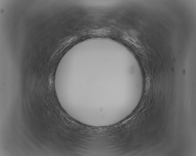 X0000083551254200702090741