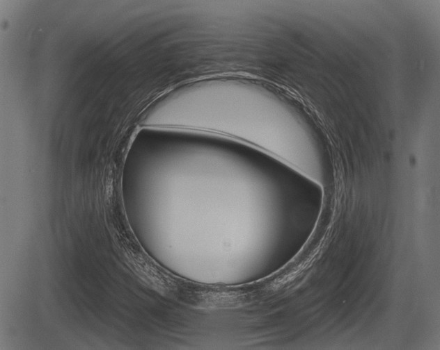 X0000083551257200702090741