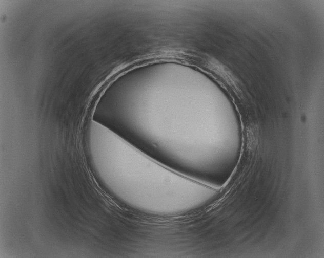 X0000083551260200702090741