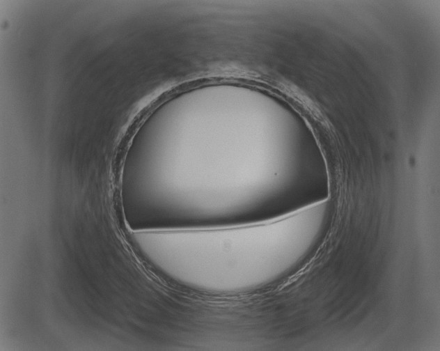 X0000083551264200702090741