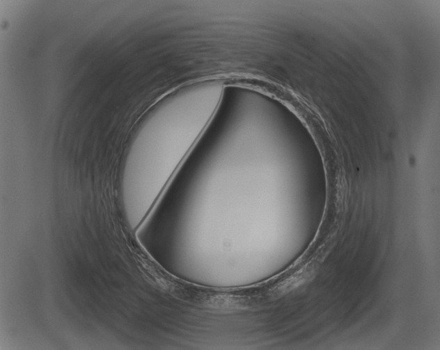X0000083551265200702090741
