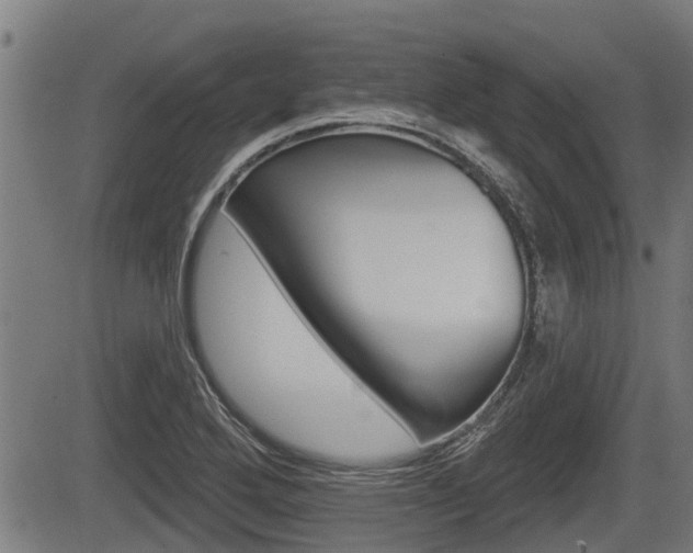 X0000083551272200702090741