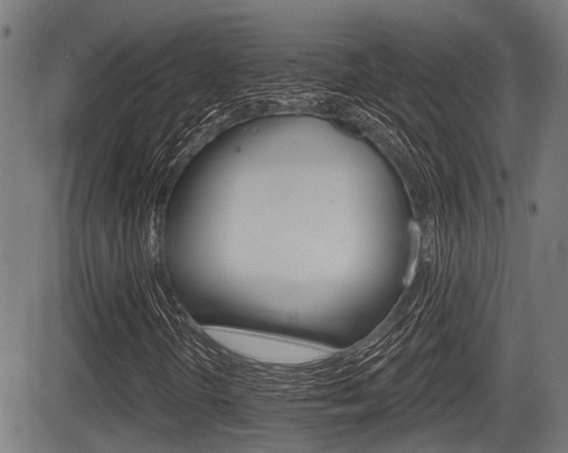 X0000083551298200702090739