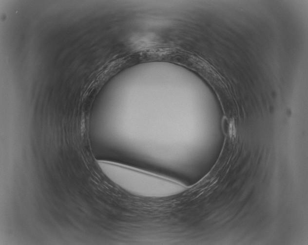 X0000083551299200702090739