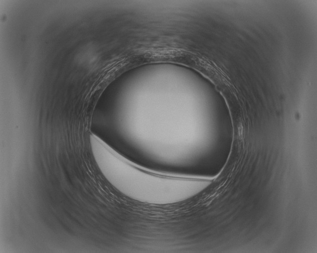 X0000083551300200702090739
