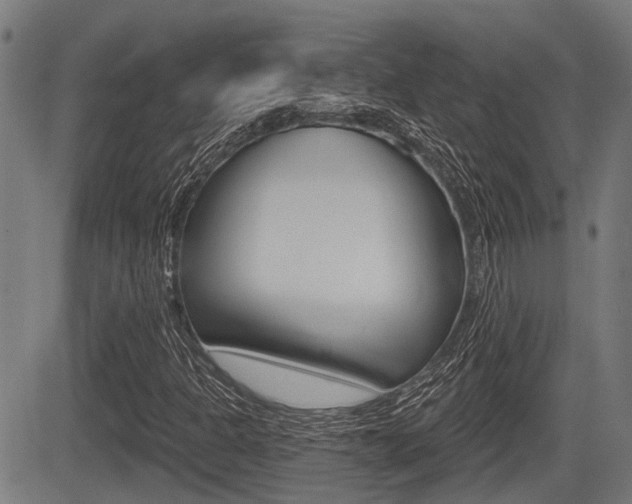 X0000083551301200702090739
